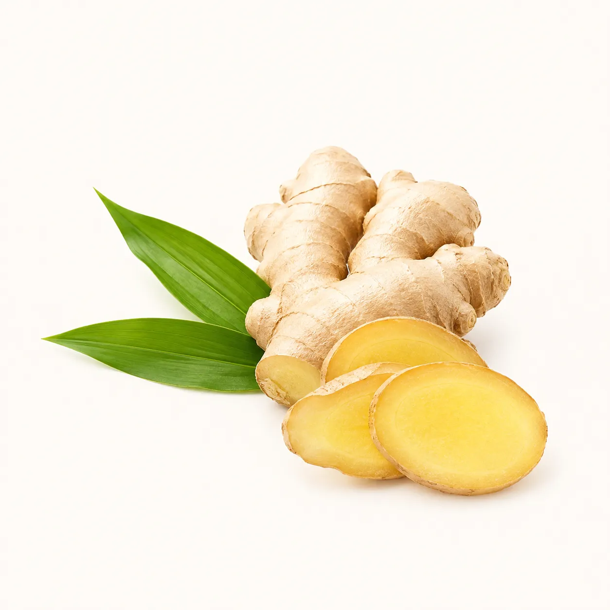Fermentuotas imbieras