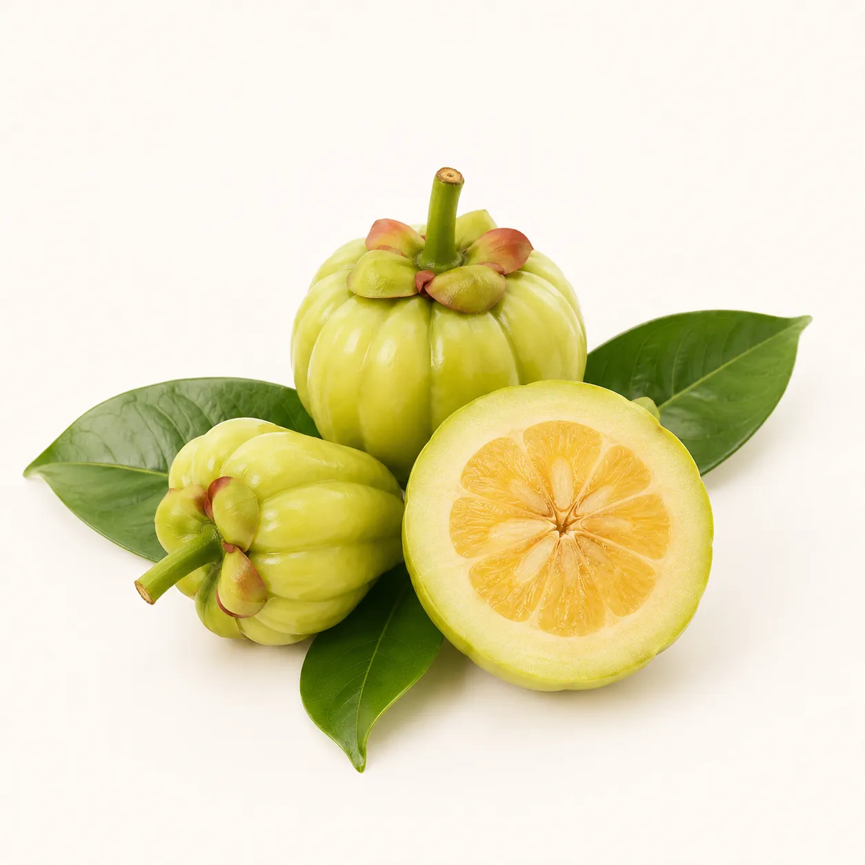 Garcinia (HCA)