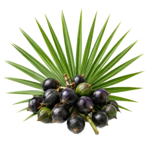 hairrebalance (5)