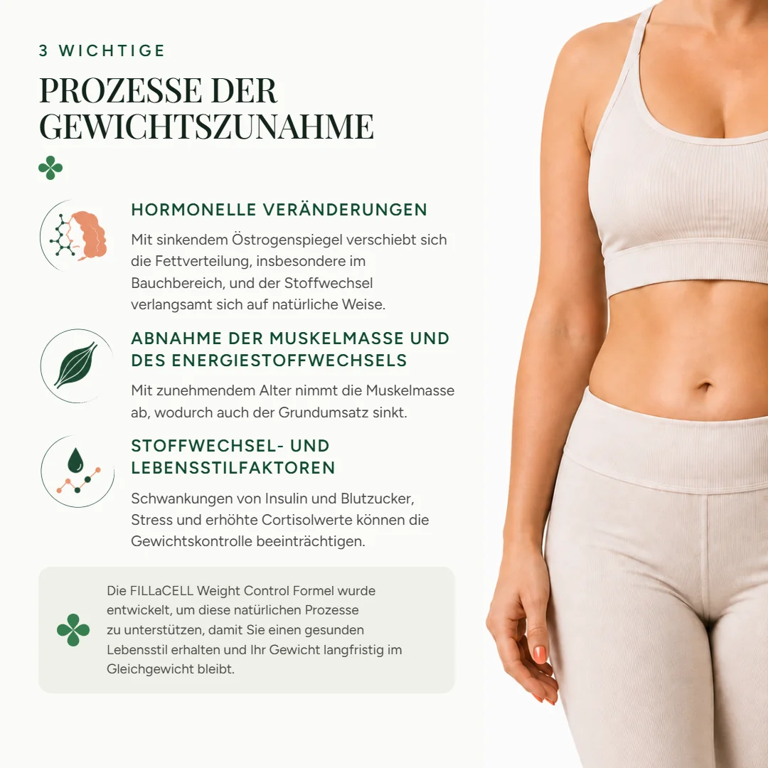 3 Hauptprozesse der Gewichtsveränderung: hormonelle Veränderungen, Muskelmasse und Energiestoffwechsel, Stoffwechsel- und Lebensstilfaktoren