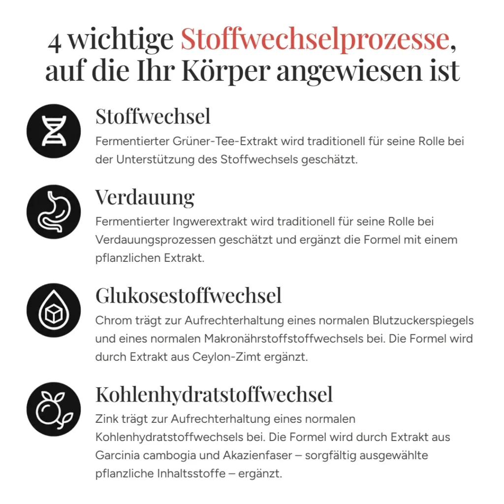 4 zentrale Stoffwechselprozesse: Stoffwechsel, Verdauung, Glukose- und Kohlenhydratstoffwechsel