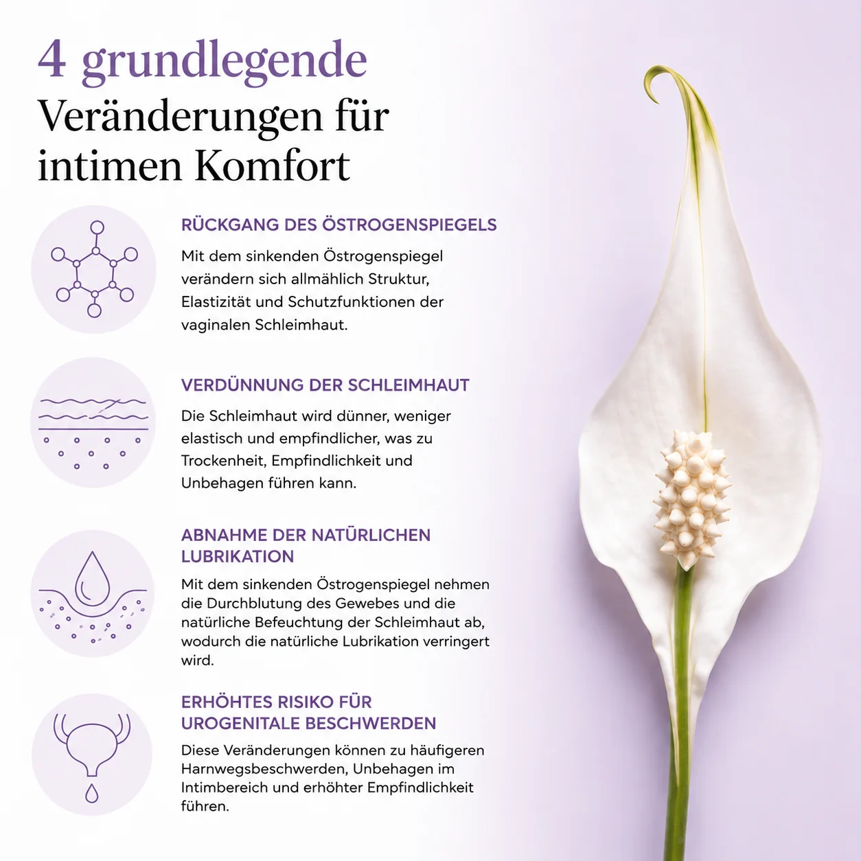 4 Hauptveränderungen für das Intimwohlbefinden: weniger Östrogen, dünnere Schleimhaut, weniger natürliche Befeuchtung, höheres Risiko urogenitaler Beschwerden